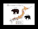 【クマが出没する本当の理由】あなたの知らない林業の世界