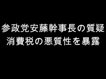 参政党安藤幹事長の質疑　消費税の悪質性を暴露