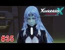 【実況】未知の惑星で生きていく『ゼノブレイドクロス』part35