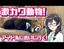 【道の駅に動物園!?】レッサーパンダに会える道の駅「西山公園」と旅先ハプニング【花隈千冬車載】