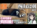 【レッサーパンダin道の駅】-福井 西山公園編- 寄り道多めの近畿「道の駅」スタンプラリー #5【VOICEROID車載・花隈千冬(VOICEPEAK)】