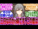 【スタレ】星「三月なのかの妹です。この度は姉がご迷惑をおかけして申し訳ありません」に対するヘンタイ紳士開拓者たちの反応集ｗｗｗｗｗｗｗｗｗｗｗｗｗ【スターレイル】