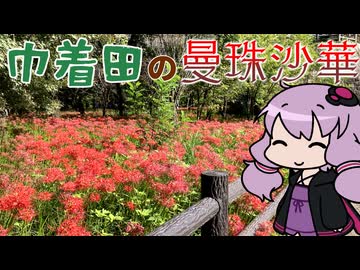 なるほど、地獄花じゃねーの　巾着田に曼珠沙華を見に行った【VOICEROID旅行】