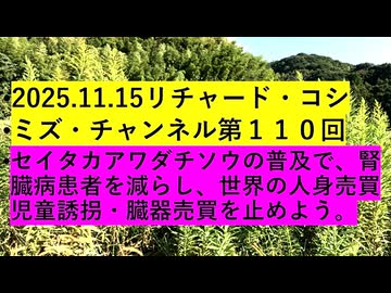 【2025年11月16日 ：『 リチャード・コシミズ・チャンネル｟ ニコニコ チャンネル『 LIVE 』｠｟ 第１１０回放送 ｠｟ 前半無料 ｠｟ 改良版 ｠』】