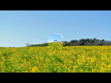 You Are Here / feat. Liam【Synthesizer V2オリジナル曲】 #TsuikyuMusic