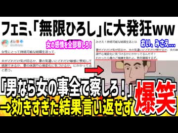 【史上最強】男叩きしたフェミ、「無限ミラーリングひろし」に論破され発狂してしまうww