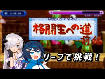 【星のカービィWiiデラックス】星界さんとヌヌちゃんの格闘王への道_前編【星界&双葉湊音 実況】