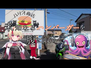 未知なるハンバーガーを腹に納めて【part16】