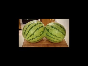 【紹介】ジピ様です