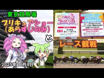 東京競馬場 プリキュアショー(あらすじのみ)とレース観戦