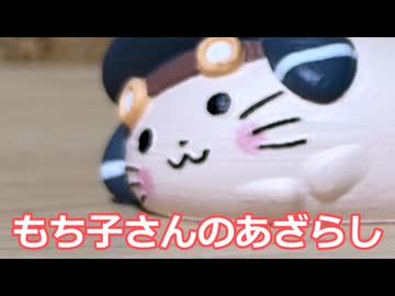 もち子さんのあざらし