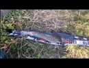 釣ったナマズとフナ食う！放送　無修正アーカイブ
