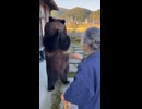 ホモと見る畑を荒らす熊を叱るババア