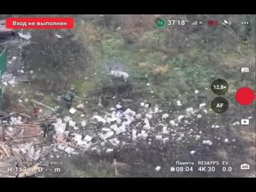 ホモと見る地雷豚