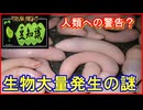 【豆知識】生物大量発生の謎