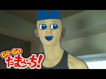 GO-GO あきらっち!