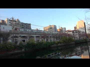 京急とクロダイ(2025年11月)