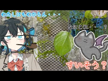 【100均工作】水槽ではない何か【ボイロ劇場】
