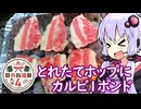 【旬のホップのビールで炭火焼肉】ゆかりのふらっと隠れ家 第２期 ♭562【野外料理祭４】