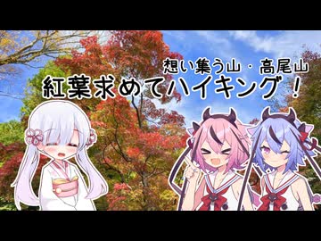 【つくよみちゃん誕生祭2025】つくよみちゃんと鳴花ーズの四方山漫遊記 #14【VOICEROID旅行】