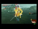 ⌘プレイアーカイブ⌘ ハイラル無双 その112