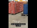モップマスター