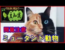 【豆知識】突然変異 ミュータント動物