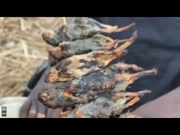 ホモと見る限界突破したアフリカのおやつ