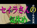 【ガンダムパロディ】セイラさんの気休め「大丈夫」　機動戦士ガンダム