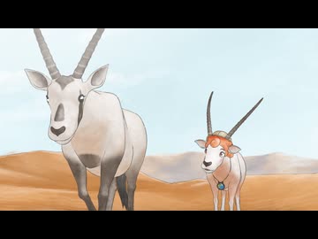 地球のラテール　#1　アラビアオリックス～願えば強くなれること～