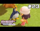 【ポケモンBDSP】ふれあい広場でぺんたとお散歩するよ【ポケットモンスター シャイニングパール】part23