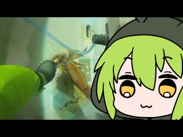 【1分釣り動画投稿祭2025】ずんだもんの釣り11