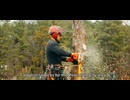 770 Tree Guy