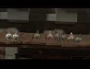 【VRChatワールド紹介】The Pigeon Coop
