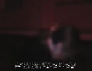 ꁈ非 ྼ ྻ ྼ ྻᨉፉ ฑํฆुऴ