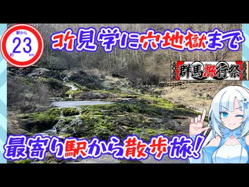 【群馬旅行祭2025】珍植物を訪ねて草津の北まで散歩旅【駅から約23km】