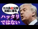 20251120_【この公開は目的ではなく、○○手段の可能性あり！】□これは罠か？！それとも陽動作戦か？！□トランプ大統領がエロエロ島ファイルを公開する法案に署名