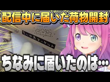 配信中に荷物が届き開封するルーナ姫とめちゃくちゃ動く眉毛【姫森ルーナ/ホロライブ切り抜き】