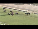 2013 東京スポーツ杯２歳Ｓ(GIII)　イスラボニータ