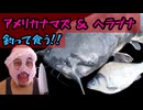 ナマズ釣り＆ヘラブナ釣って食う