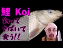 鯉釣って捌いて食う！