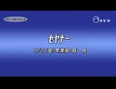 【#10周年だよｾﾔ祭り】トコトコｾﾔﾅｰ