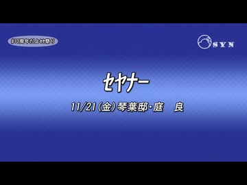 【#10周年だよｾﾔ祭り】トコトコｾﾔﾅｰ