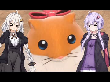 【カービィのエアライダー】ゆづきずエアライダー #4