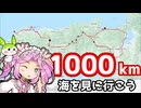四国めたんブルベ日記『はじめての1000km（2024BRM713近畿1000km茨木）』