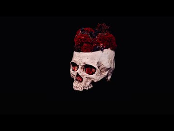 脳のエラーだ！ (feat. 初音ミク)【公式MV】
