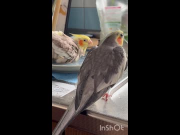 はい！恒例の□