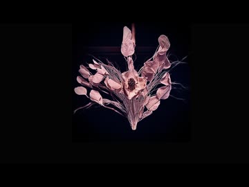 明日を嫌うあなたが愛おしい (feat. 初音ミク)【公式MV】