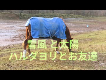 雪風と太陽　ハルダヨリとお友達
