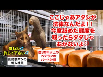 【山崎製パン】離職者急増で崩壊寸前！？社員よりもパンを優先する大手製パン企業 #猫マニ #猫ミーム